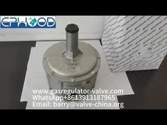 Bộ điều áp khí bằng nhôm FGDR32/50 Model với bộ lọc tích hợp, sản xuất tại Ý bởi Giuliani Anello