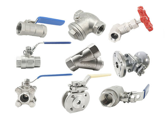 304 316 Ss Van bi nhỏ gọn vệ sinh Chủ đề NPT với miếng đệm vết thương xoắn ốc