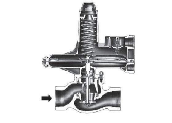 Bộ điều chỉnh giảm áp suất khí hoạt động trực tiếp Sê-ri sắt dễ uốn Fisher 133L
